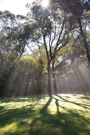 Landscape photography in Leura and Katoomba, Australia